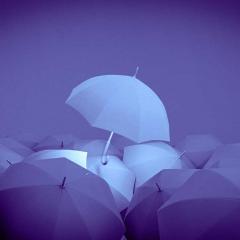 Umbrella